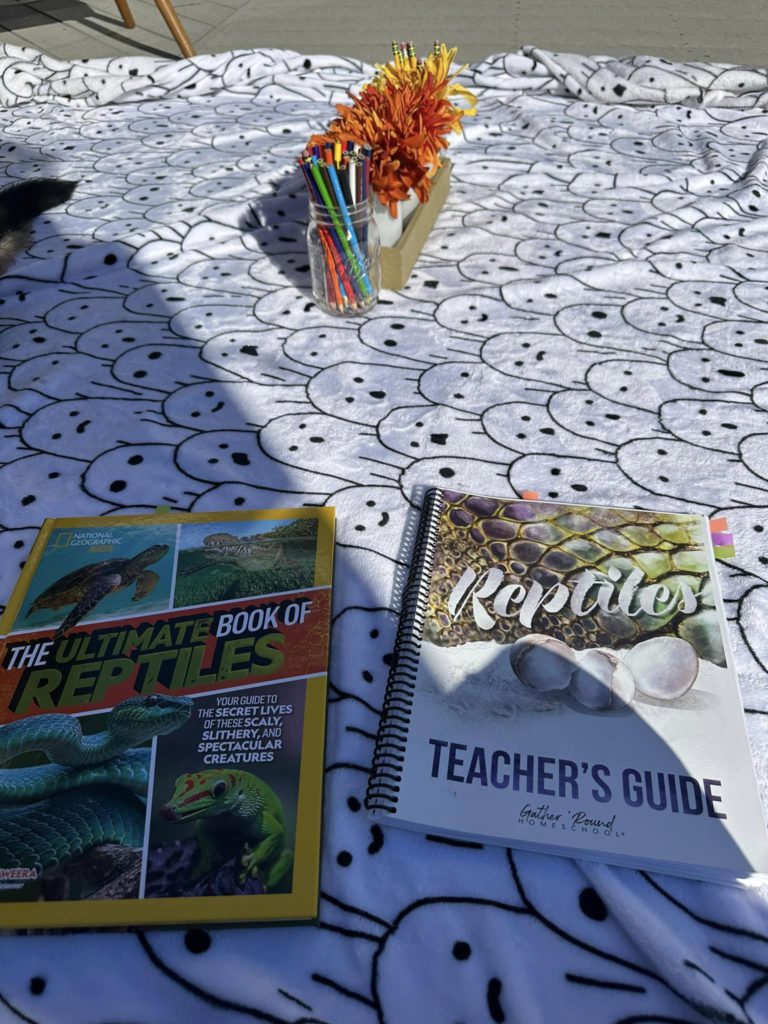 30 Days Into Homeschooling: The Ups, Downs, and Everything in Between